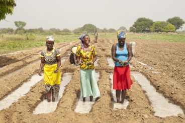 Sustainable and equitable growth in farmer-led irrigation in Sub-Saharan Africa: What will it take? (Water Alternatives)