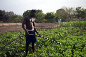 “Not Want, but Need”: Farmer-led Irrigation in Ghana