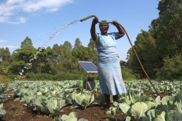 Opinion: How to keep Africa's boom in solar-powered irrigation from going bust (Devex)